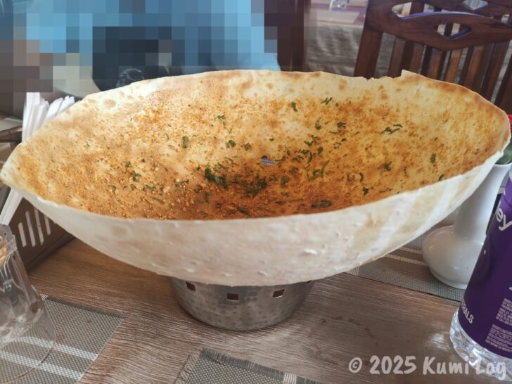 ナーシクで食べた巨大な何か