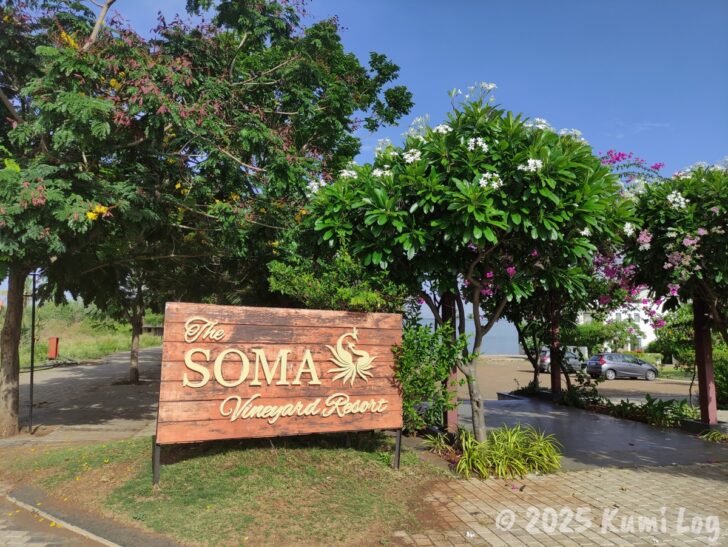 Somaの入口