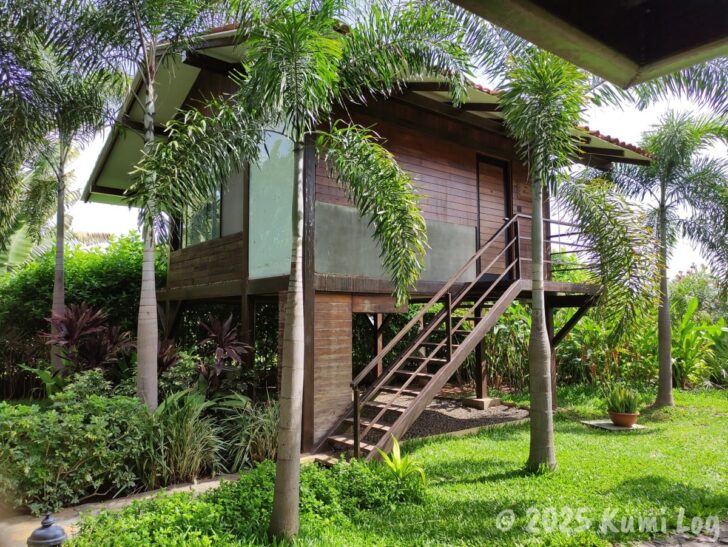 Sula Tree House