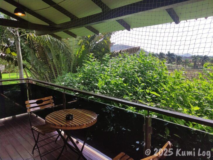 Sula・Tree Houseのベランダ